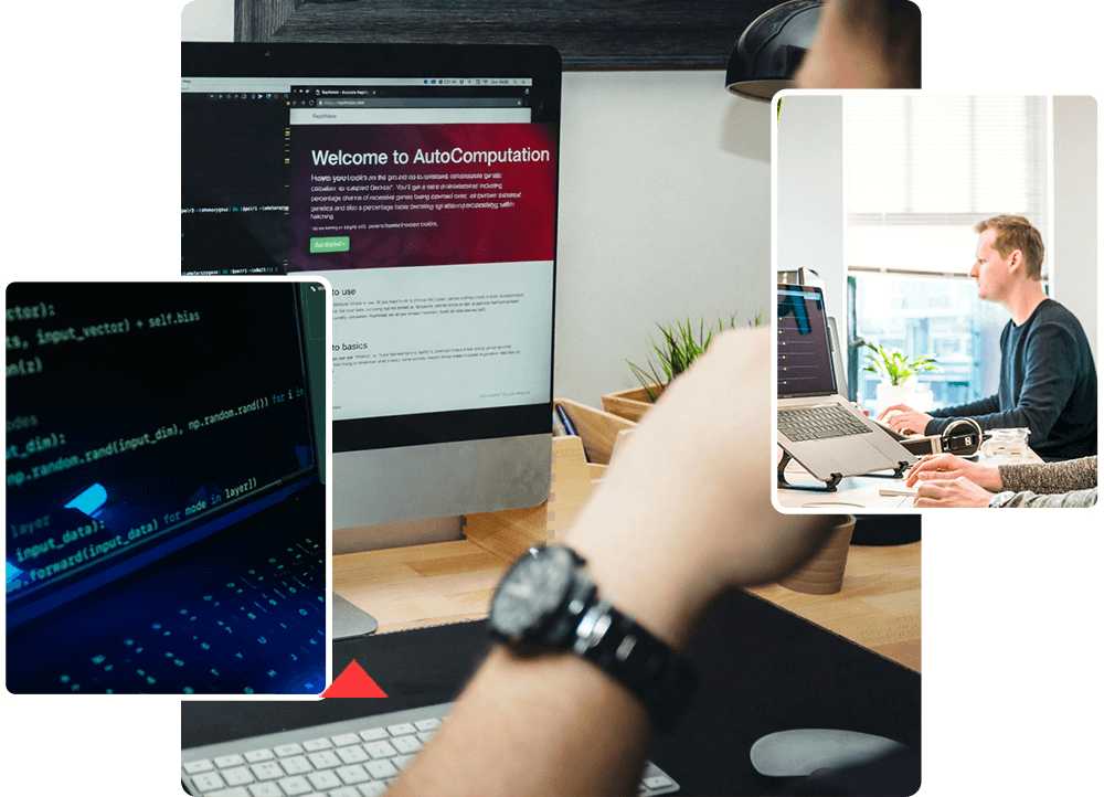 Web Design & Development
